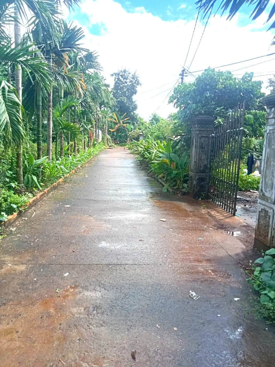 Bán nhà mái Thái 200m² Krông Păk, Đắk Lắk - 1,55 tỷ - Ảnh thu nhỏ 5