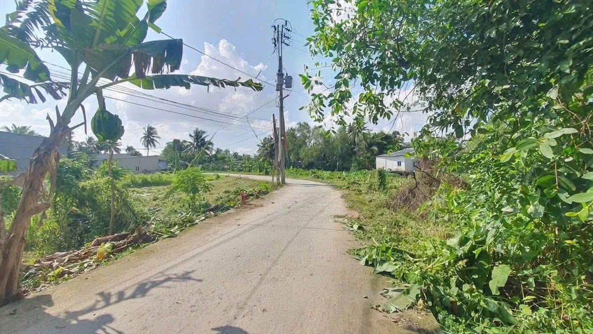 Bán đất nền mặt tiền rạch Cái Nai 115m2 giá 990 triệu, phường Cái Răng, Cần Thơ - Ảnh thu nhỏ 3