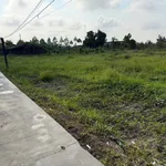 Bán đất 12x80m nở hậu, có sổ, ao cá, xã Tầm Vu, Tây Ninh - Ảnh thu nhỏ 1