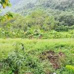 Bán đất 1160m² view núi, Đú Sáng, Kim Bôi, Hòa Bình - Ảnh thu nhỏ 4