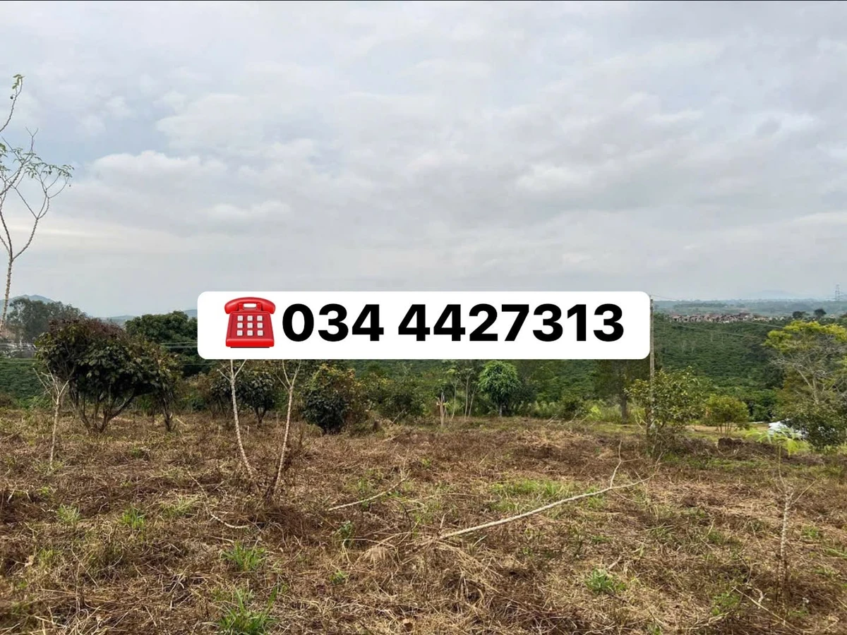Bán đất Ninh Gia Lâm Đồng 3.162m² view đồi, 2 tỷ 868 triệu - Ảnh thu nhỏ 2