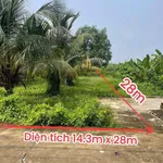 Bán lô đất thổ cư 400 m² Tây Ninh 1 tỷ 250 triệu - Ảnh thu nhỏ 4