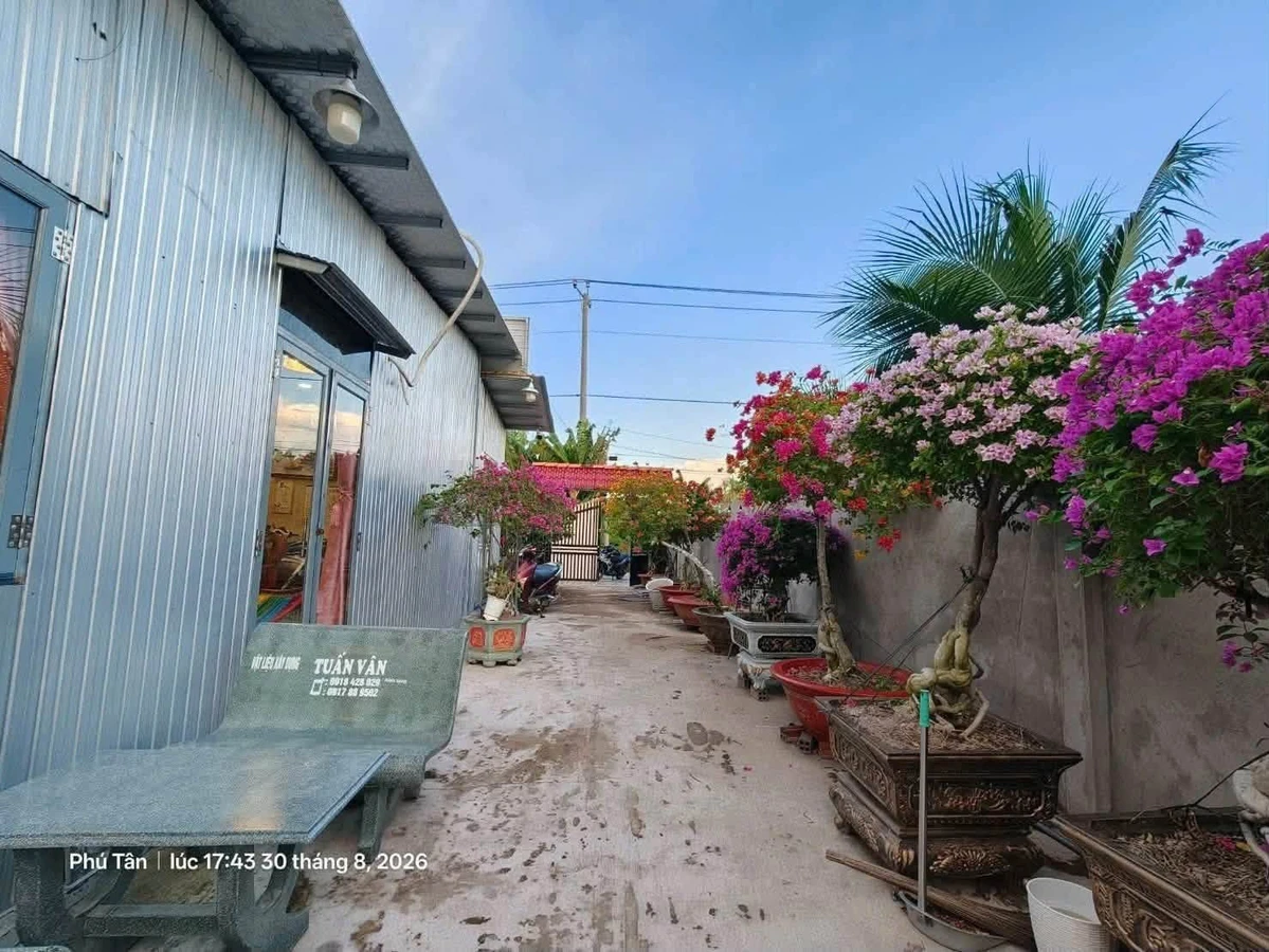 Bán đất + nhà + vườn dừa + ao 760m² Huỳnh Tấn Phát Bến Tre 3 tỷ - Ảnh thu nhỏ 5