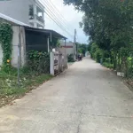 Bán đất mặt tiền Bình Nhâm 26, 89 m2, 2,5 tỷ, Bình Chánh - Ảnh thu nhỏ 3