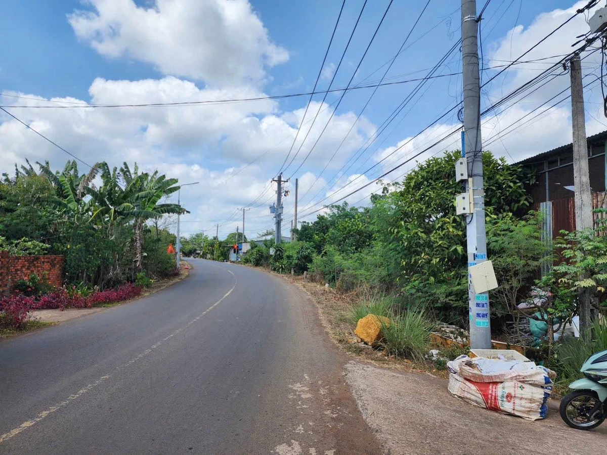 Bán đất mặt tiền Nhựa Liên Huyện 115m² giá 1 tỷ 250 triệu - Ảnh thu nhỏ 3