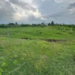 Bán đất vườn 1.426m² view hồ nước Thôn 2 Hàm Liêm - Ảnh thu nhỏ 1