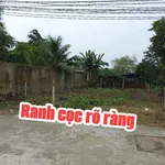 Bán lô đất 230m² Phước Lý Cần Giuộc Tây Ninh - Ảnh thu nhỏ 3