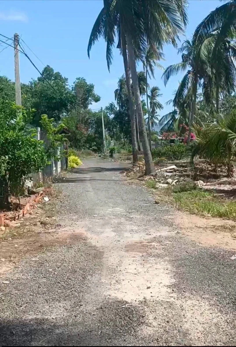 Bán đất 25m x 46m (1150m²) tại Xuân Lộc, Phú Yên - Ảnh thu nhỏ 2