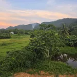 Bán đất 1979,2m2 giá 1,95 tỷ tại thị trấn Thanh Sơn - Ảnh thu nhỏ 7