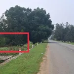 Bán đất ven biển Châu Tân 155m2, 200 triệu - Ảnh thu nhỏ 1