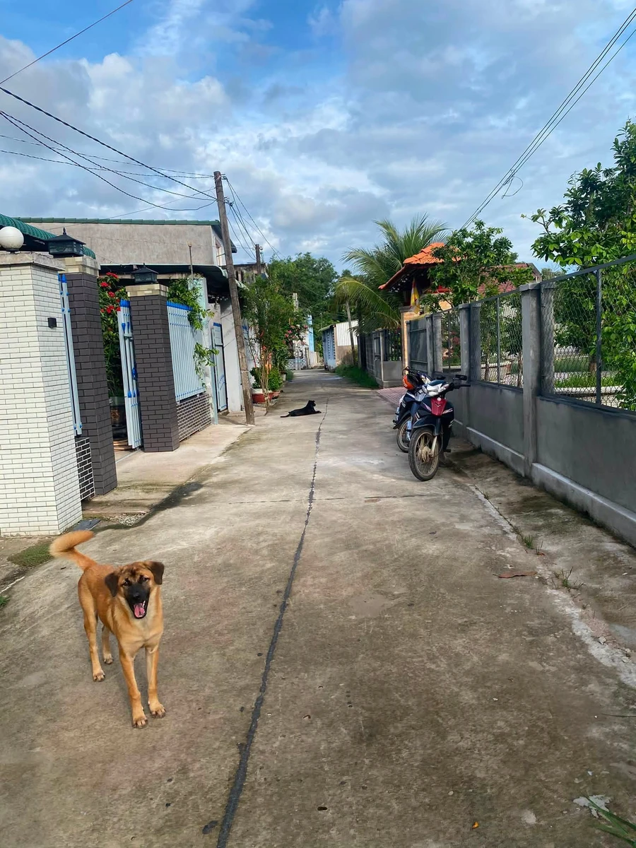 Bán đất 148,4m² xã Hàm Tân, Lâm Đồng giá 550 triệu - Ảnh thu nhỏ 2