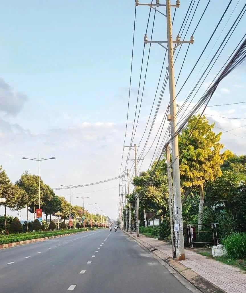 Bán đất 183m² sổ riêng full thổ cư tại Bình Lộc, Long Khánh, Đồng Nai giá 790 triệu - Ảnh thu nhỏ 2