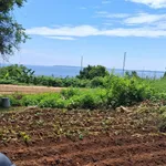 Bán đất 240m2 view biển Thanh Thủy Quảng Ngãi 100 triệu - Ảnh thu nhỏ 1