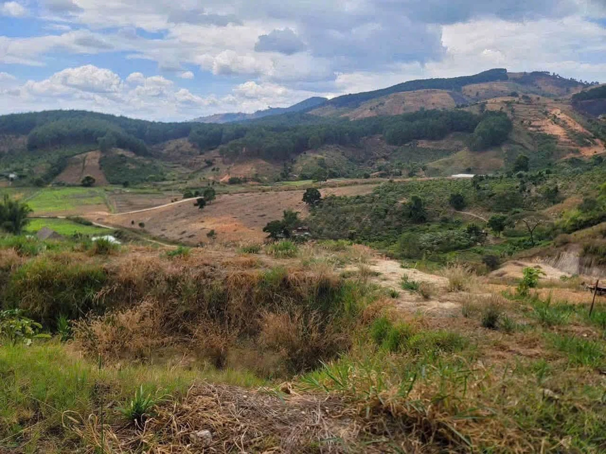 Bán đất rộng 6525m² view đẹp Tà Nung Đà Lạt 4.5 tỷ - Ảnh thu nhỏ 2
