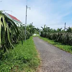Bán đất 300m² thổ cư giá 550 triệu, đường nhựa Phong Phú, Hàm Mỹ - Ảnh thu nhỏ 4