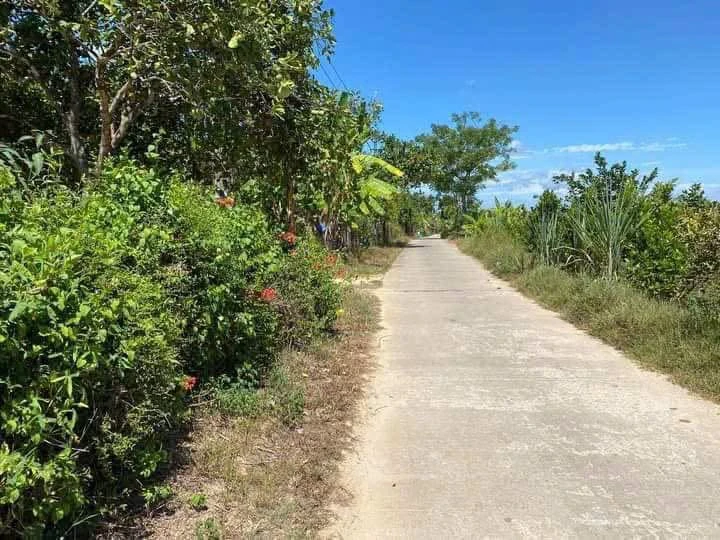 Bán đất mặt tiền view sông Hương 425m2 Huế - Ảnh thu nhỏ 3