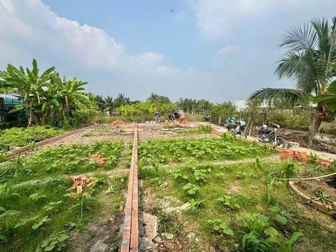 Bán lô đất thổ cư 100m² Phước Lý Cần Giơ - Ảnh thu nhỏ 5