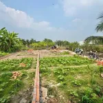 Bán lô đất thổ cư 100m² Phước Lý Cần Giơ - Ảnh thu nhỏ 5
