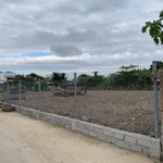 Bán đất góc Diên An, Diên Khánh 1.338m2 - Ảnh thu nhỏ 1