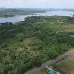 Bán đất nông nghiệp Phường Eakao Buôn Ma Thuột 6.550 m² 7,5 tỷ - Ảnh thu nhỏ 5