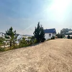 Bán đất xây dựng 174,8m² khu Liên Minh Đà Lạt 3,5 tỷ - Ảnh thu nhỏ 3