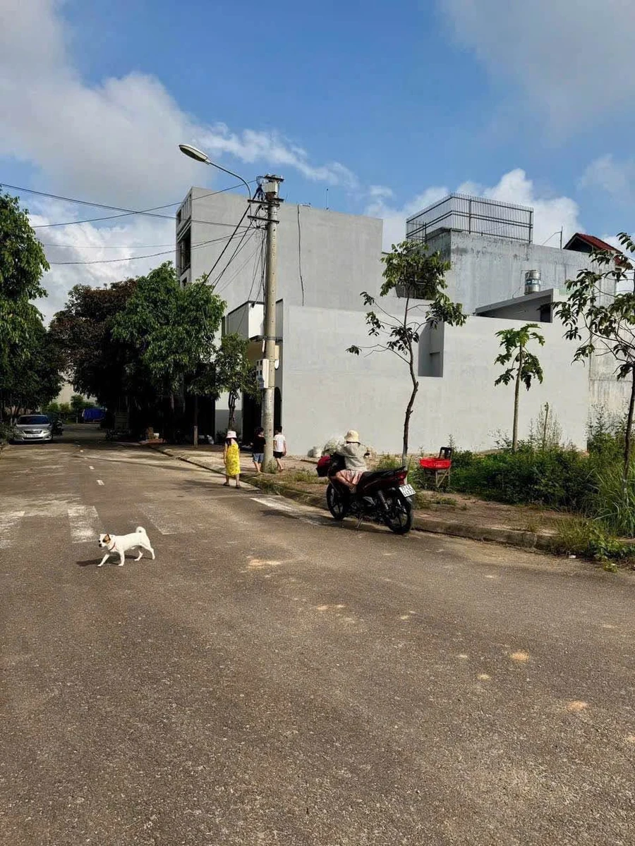 Bán đất lô góc mặt tiền 65m2 gần Viện Sốt Rét Quy Nhơn - Ảnh thu nhỏ 2