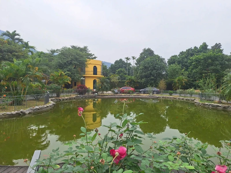 Bán biệt thự 5200m² Cư Yên Lương Sơn 35 tỷ