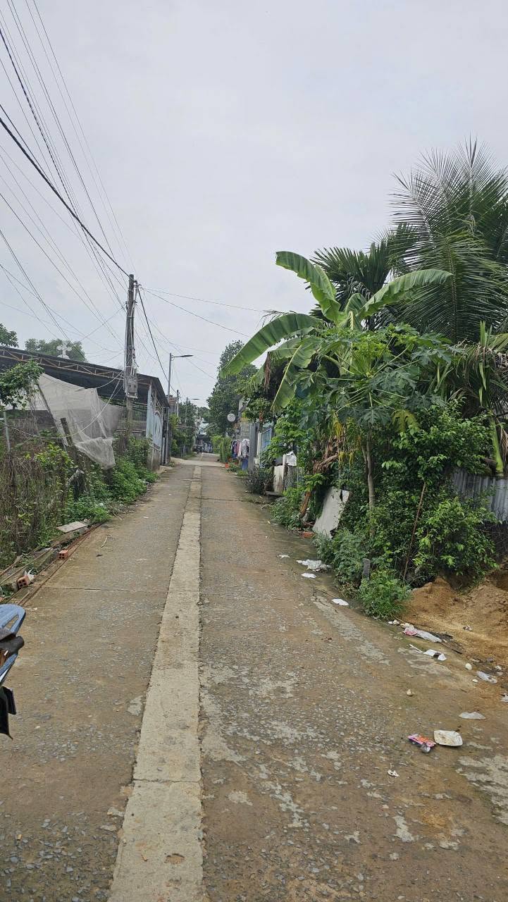 Bán 5 lô đất Tân Bình Trà Cổ 155m² giá 1 tỷ 1 - Ảnh thu nhỏ 2