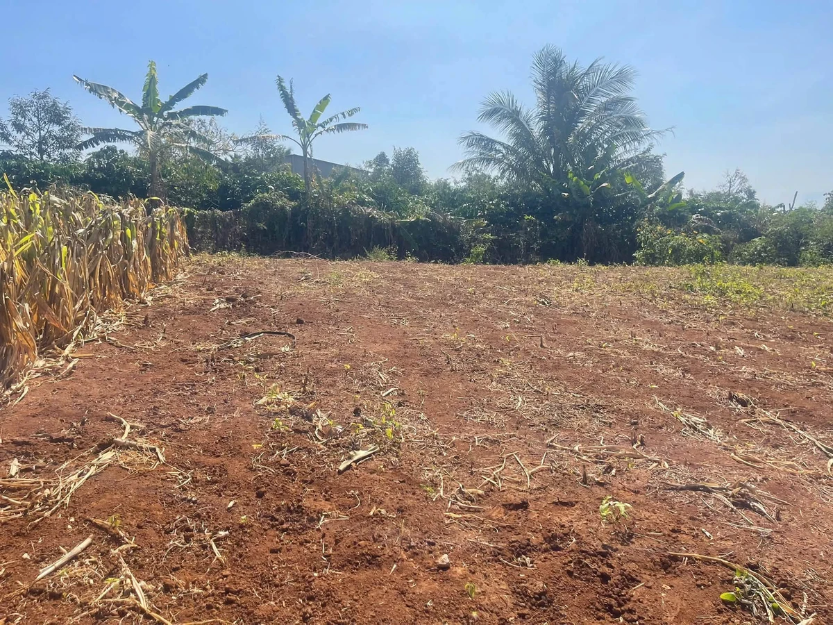 Bán đất 135 m² view hồ Phường Cư Bao Buôn Hồ - Ảnh thu nhỏ 5