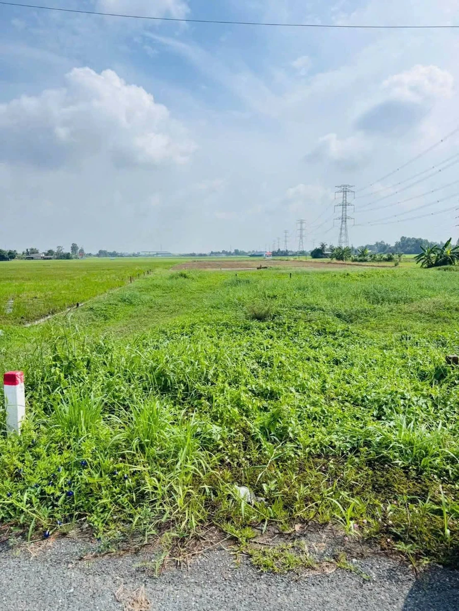 Bán đất 250m² Xã Bình Lãng, Tây Ninh, 1 tỷ 280 triệu - Ảnh thu nhỏ 2