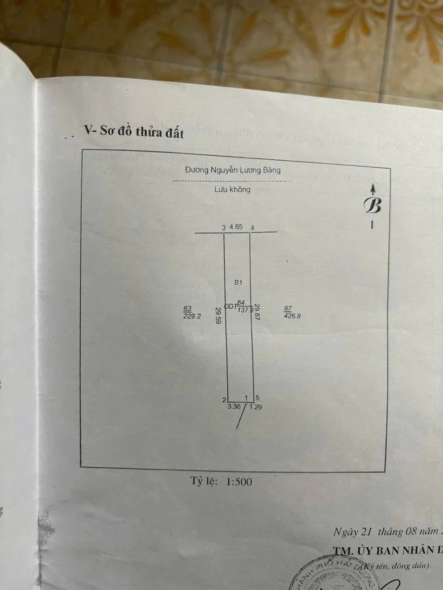 Bán đất mặt đường Nguyễn Lương Bằng 137.9m² Hải Dương 8 tỷ - Ảnh 1