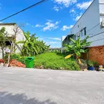 Bán đất 134m2 gần Ngô Quang Thắm, Tân Phú 4,5 tỷ - Ảnh thu nhỏ 1