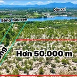 Bán hơn 5ha đất trồng rừng sản xuất giá 750 triệu tại Phường Phong Thái, Huế - Ảnh thu nhỏ 3