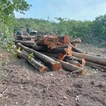 Bán lô đất full thổ cư Phú An, Thủ Đức, giá 1 tỷ 300 triệu - Ảnh thu nhỏ 3