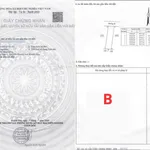 Bán đất ở 95,4m² gần 100m² Diên An 1,86 tỷ - Ảnh thu nhỏ 2