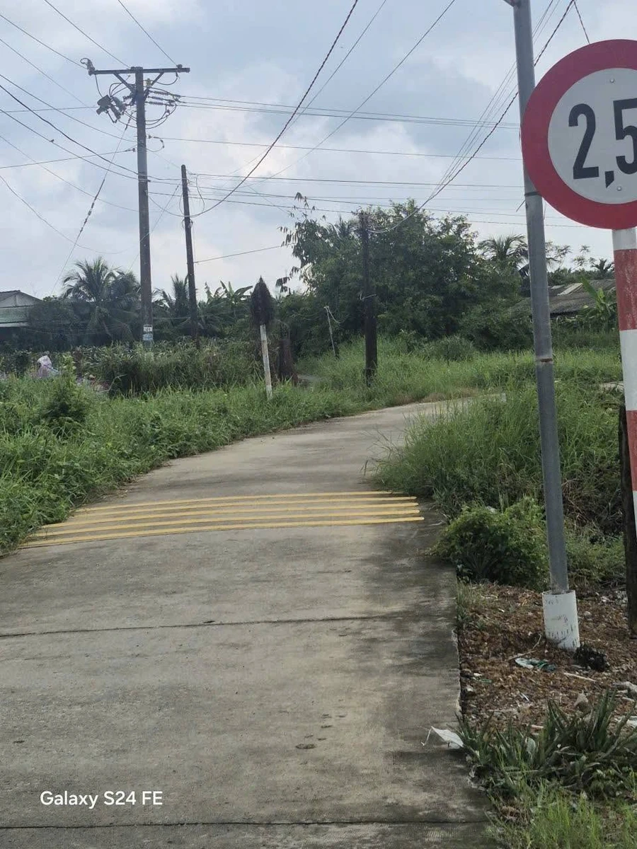 Bán 9000m² đất lúa Châu Thành Long An - Ảnh thu nhỏ 2