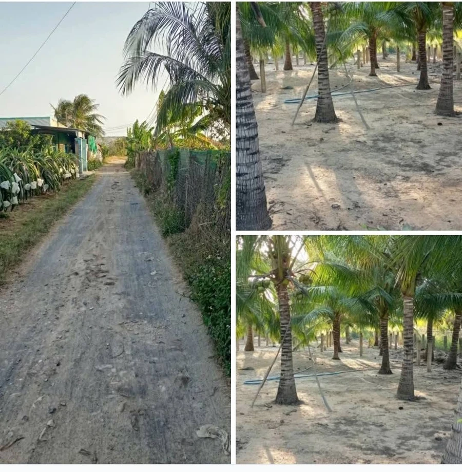 Bán đất 500m2 (160m2 thổ cư) tại Phú Long giá 1,25 tỷ - Ảnh 1