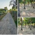 Bán đất 500m2 (160m2 thổ cư) tại Phú Long giá 1,25 tỷ - Ảnh thu nhỏ 1