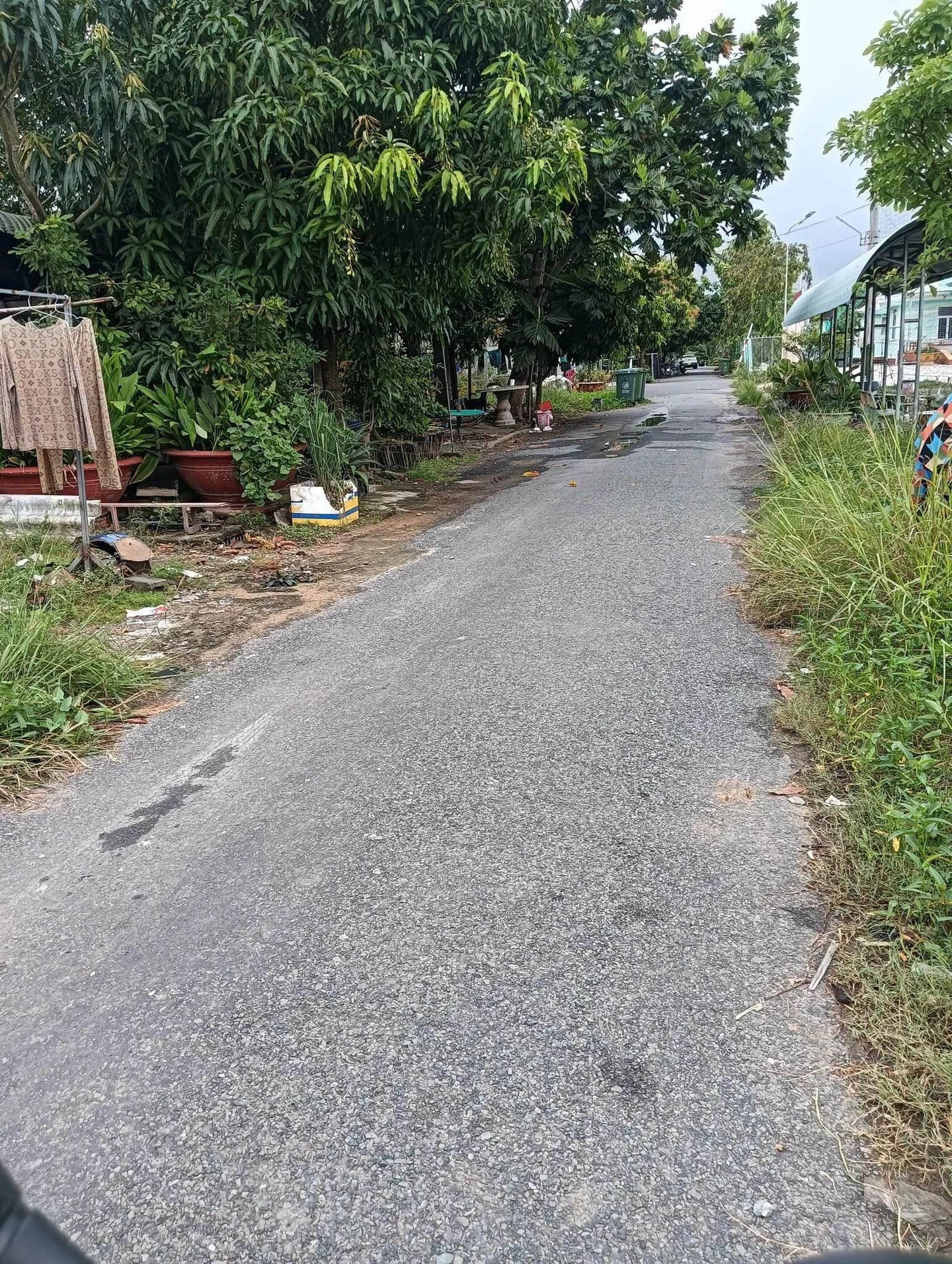 Bán 100m² đất thổ cư Tân Tây Thạnh, Long An - Ảnh 1