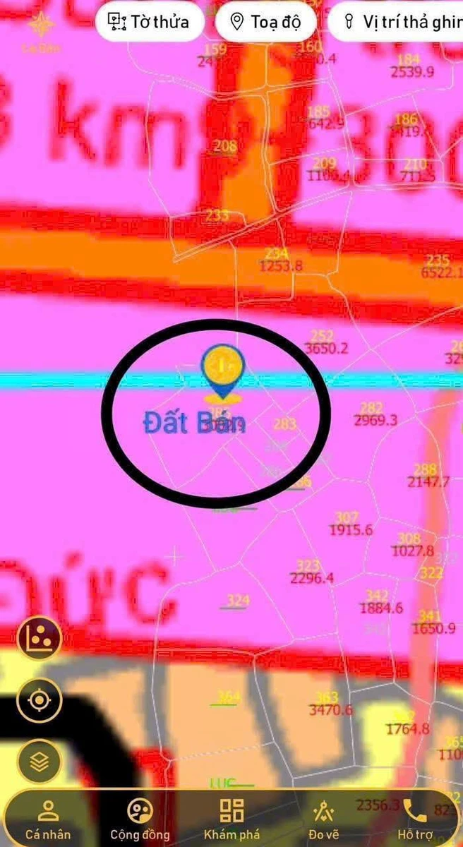 Bán 3.000m² đất Hàm Đức Bình Dương giáp Phú Long - Ảnh thu nhỏ 4