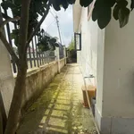 Nhà vườn 283,6m² Bình Lãng, Tân Trụ, Long An - 1 tỷ 500 - Ảnh thu nhỏ 4