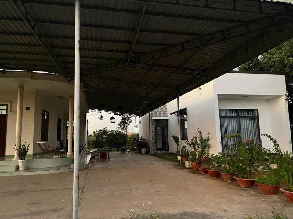 Bán đất sào 5500m² có 2 căn nhà ở Lâm Đồng 3 tỷ 5 - Ảnh thu nhỏ 2