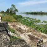 Bán đất 5000m² 2 mặt tiền Sông Sài Gòn Trung An Củ Chi - Ảnh thu nhỏ 4