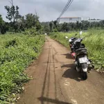 Bán 1 sào đất nông nghiệp Hóc Môn 1 tỷ 650 triệu - Ảnh thu nhỏ 2