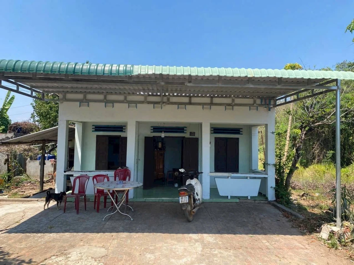 Bán đất 2.000m² (600m² thổ cư) Hàm Thạnh, Lâm Đồng - Ảnh thu nhỏ 5