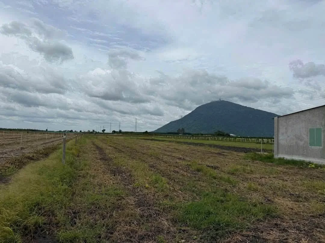 Bán đất 1 công Suối Đá Tây Ninh 275 triệu - Ảnh 1