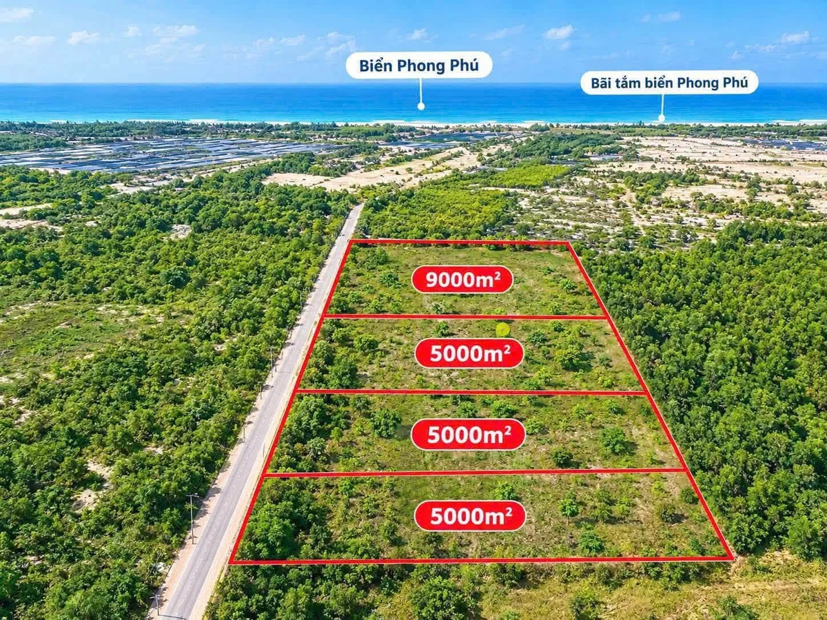 Bán đất biển Phong Phú Huế 5000 m2 giá 220 triệu - Ảnh thu nhỏ 2