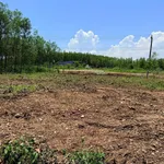 Bán 2 lô đất thổ cư Ninh Hòa 210m², 850 triệu/lô - Ảnh thu nhỏ 2