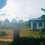 350m2 sẵn thổ 100m2, Thành phố Pleiku, nhà cấp 4 sẵn, nở hậu 15m, 990 triệu - Ảnh thu nhỏ 12