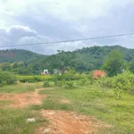 Bán đất 38x100m (3800m²) gần Bệnh viện Xuyên Á, Lâm Đồng, giá 2,3 tỷ - Ảnh thu nhỏ 4